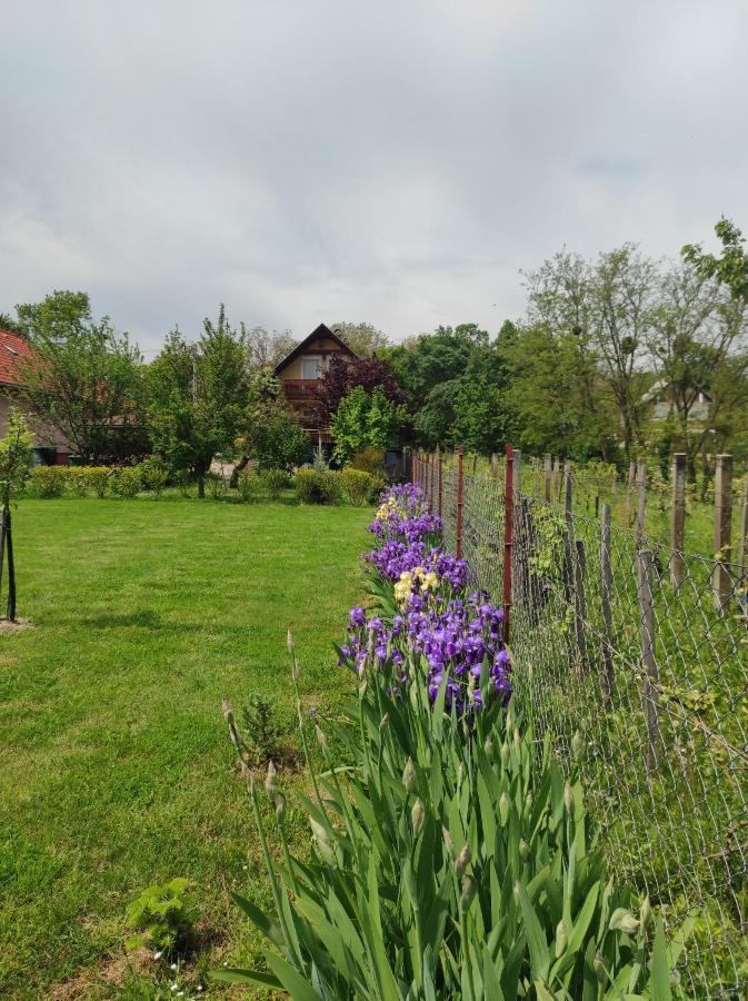 Dorina Apartman Zalakaros Buitenkant foto